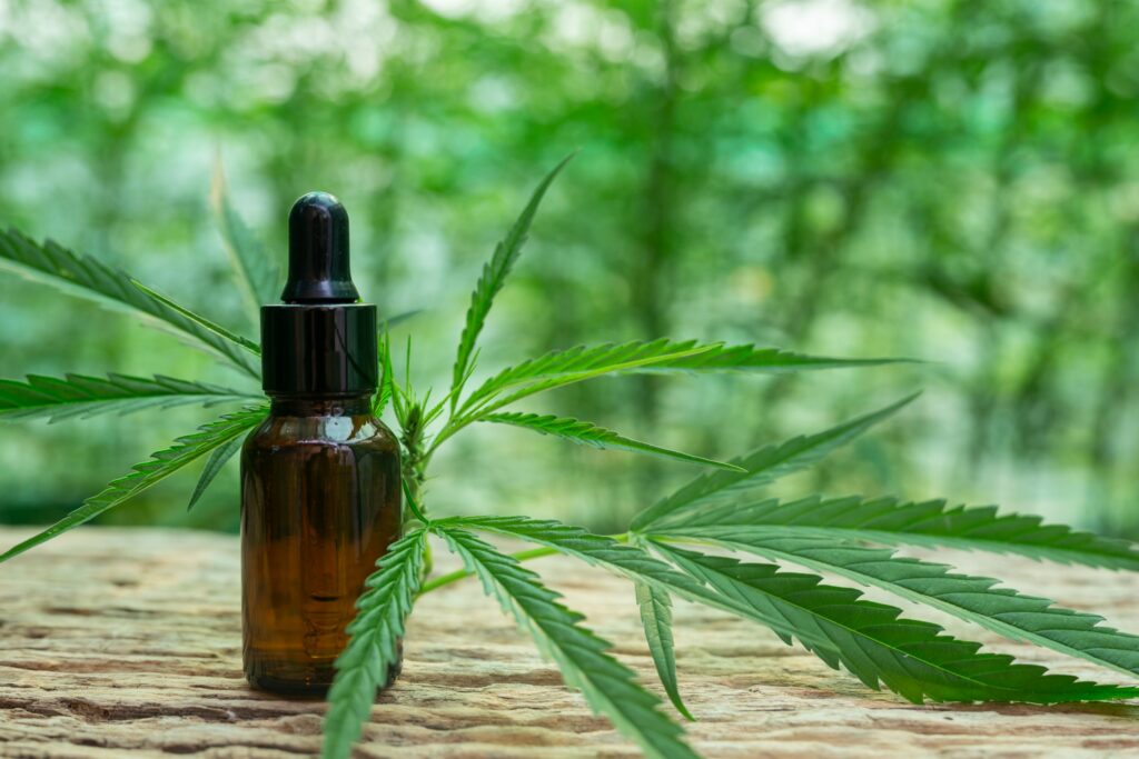 cannabis-leaf-extracted-from-hemp-oil-scaled